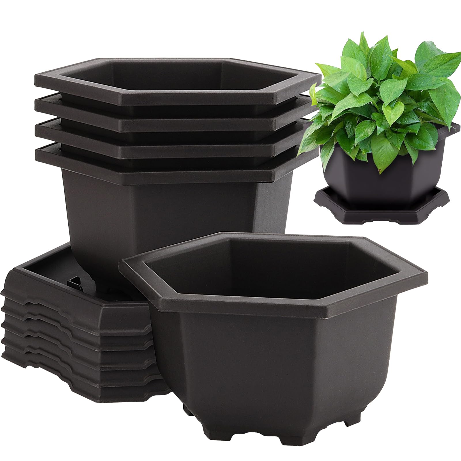 Pots à bonsaï hexagonaux perforés en maille de 14 cm avec soucoupes