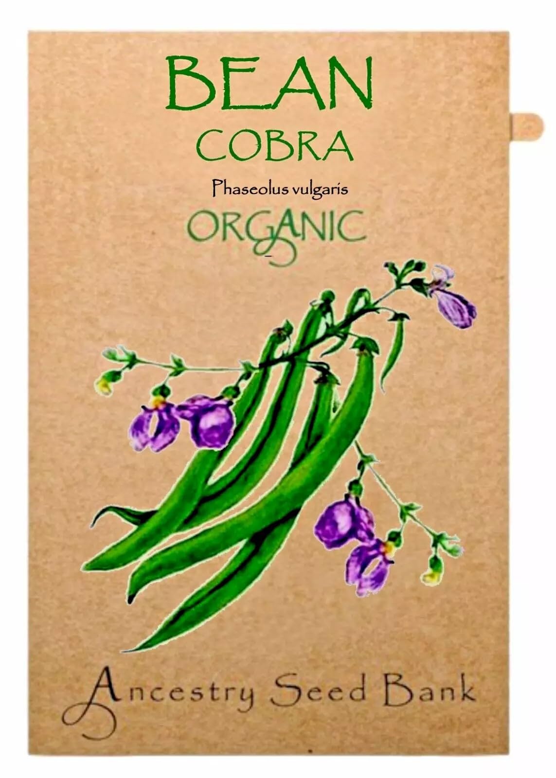 Organic Bean ❁ Cobra ❁ x10 Seeds Heirloom - Non GMO