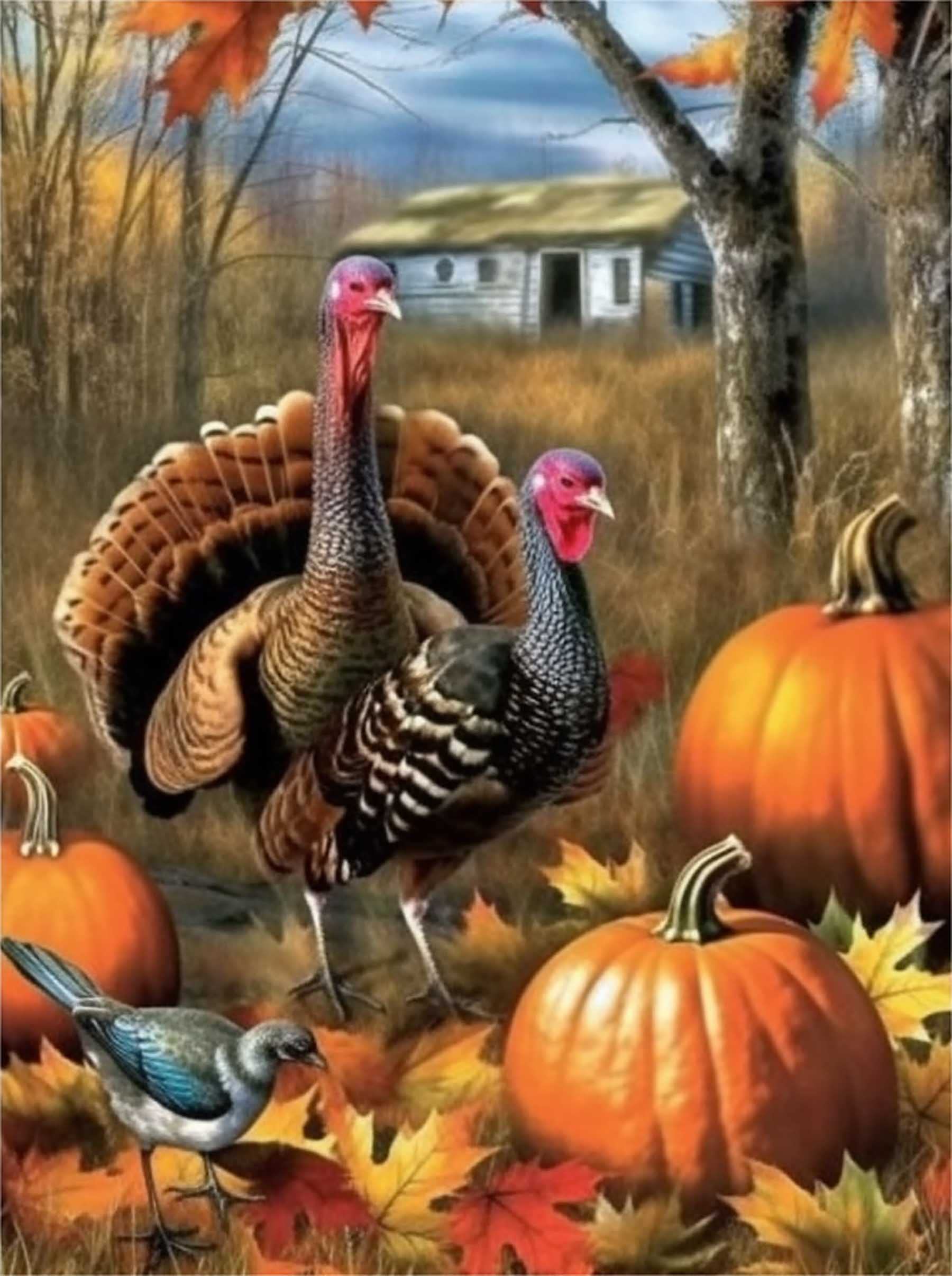 Zariocy Diamond Art Painting Kits Round Full Drill, Happy Thanksgiving Pumpkin Turkey Round Full Autumn Paint with Diamonds Art DIY Rhinestone