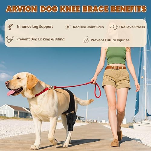 Miniatura 4 de Rodillera para perro para pierna trasera, para perros desgarrados ACL, soporte ajustable con estabilizadores de metal, mantiene las articulaciones