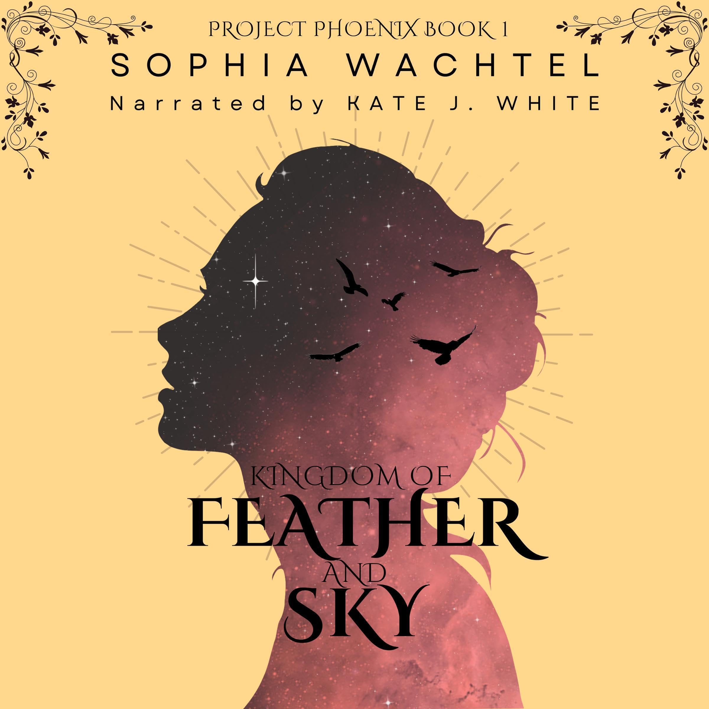 Cover art for Kingdom of Feather and Sky