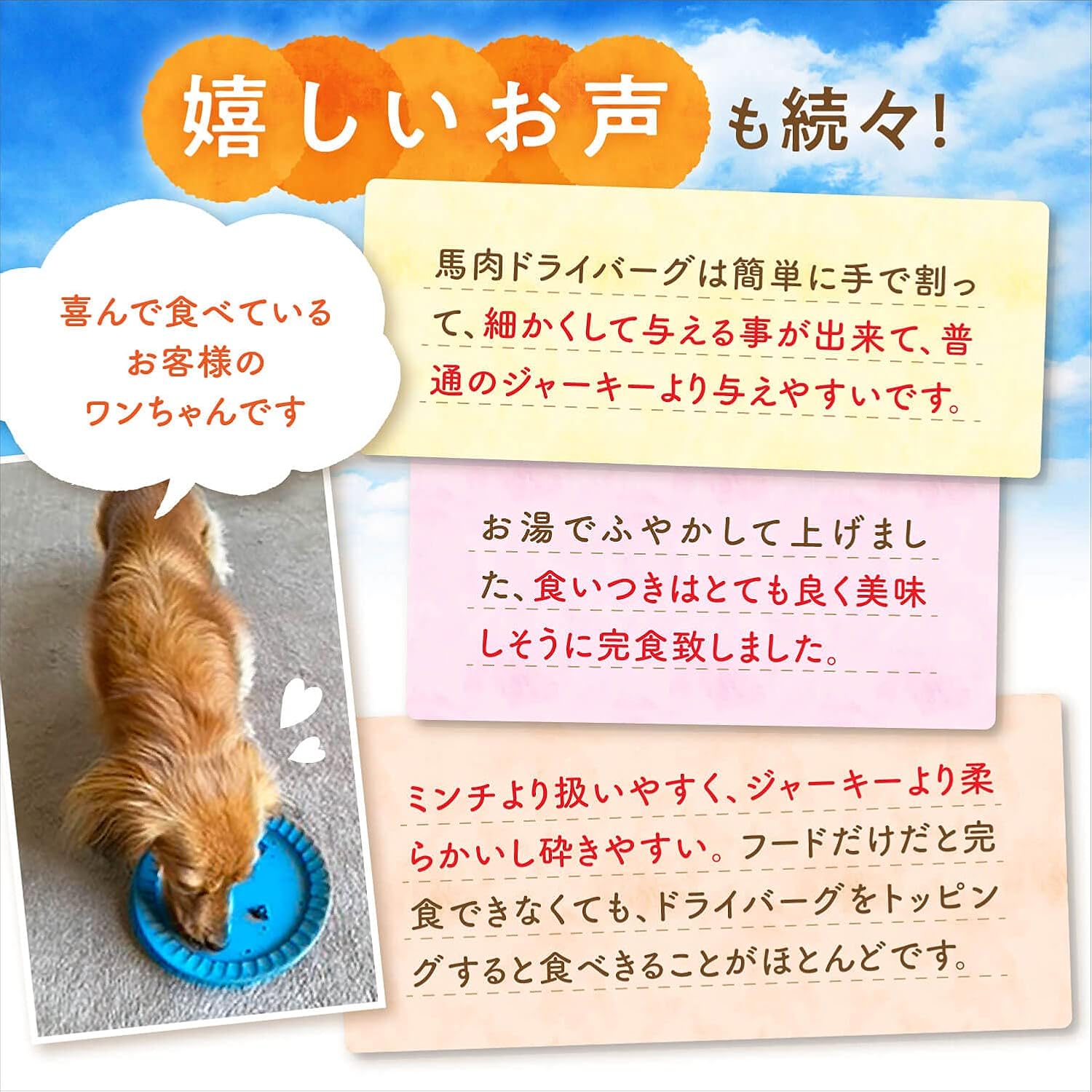 健康いぬ生活 無添加 馬肉 100% ドライ ハンバーグ 180g (60g×3袋) 国産 犬 アレルギー おやつ グルテンフリー アレルギー対応 ソフト 柔らかい シニア 小型犬 thumbnail 3