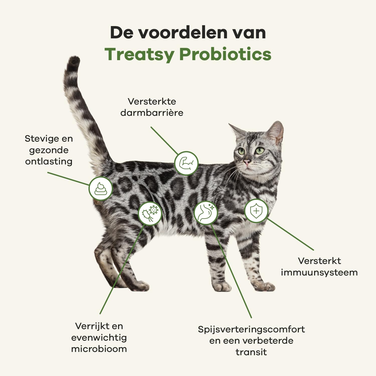 Integratore Alimentare per Gatti – Digestione – Contro diarrea e stitichezza – Pre- e probiotici, psillio – Raccomandato dai veterinari