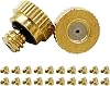 RuoFeng Mister Nozzles Brass For Outdoor Cooling System Low-Pressure Atomizer 22 pcs Orifice 0.031 0.8 mm 10-24 UNC