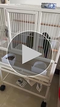 ホワイト 鳥用ケージ 高さ150cm ホワイト 鳥用ケージ 高さ150cm