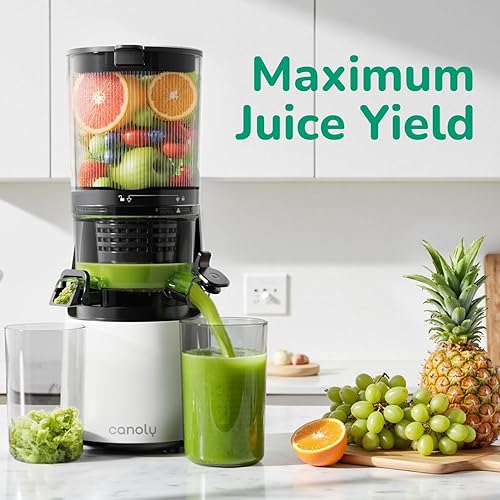 Miniatura 4 de Canoly Exprimidor de prensa en frío C16, con un conducto de 6 pulgadas de ancho y coladores autoprecortados, 3 en 1 (jugo y sorbete y leche de