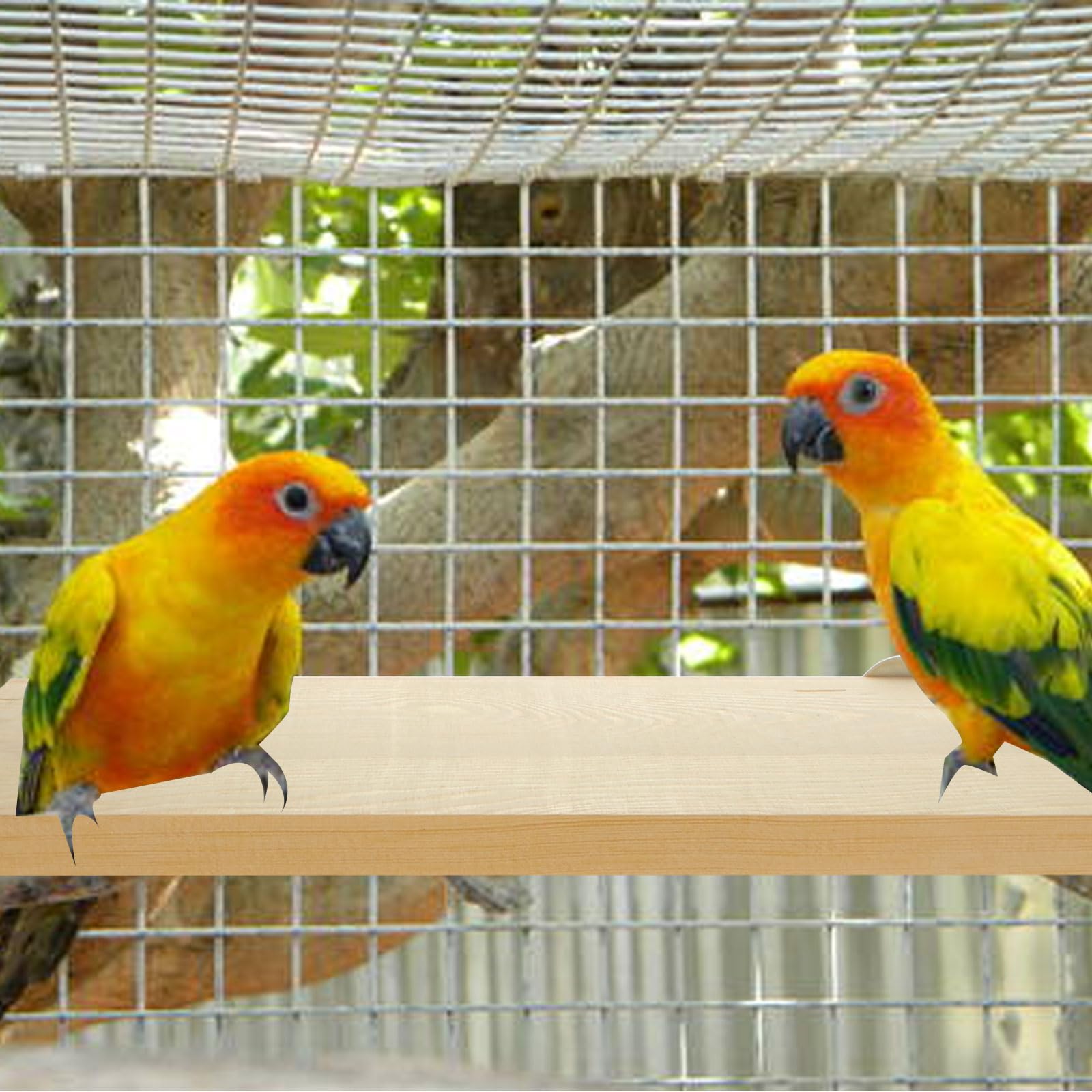 4 Pack 5 x 12 Inches Bird Perches - Natural Wooden Flat Bird Perch - Rectangle Bird Perch Stand Platform for Parrot, Budgies, Parakeet, Cockatiels, Conure, Lovebirds - image 3