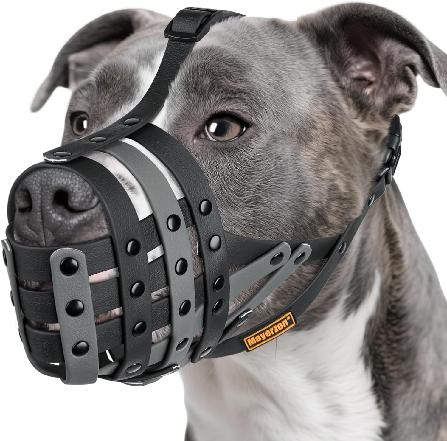 Basket Muzzle(Black L & BlackGrey L) Set for Pitbull Rottweiler Anti Biting Chewing