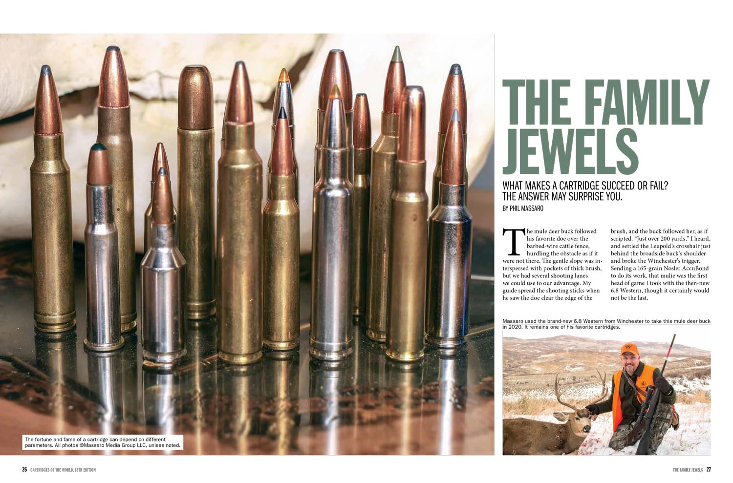 Cartridges of the World