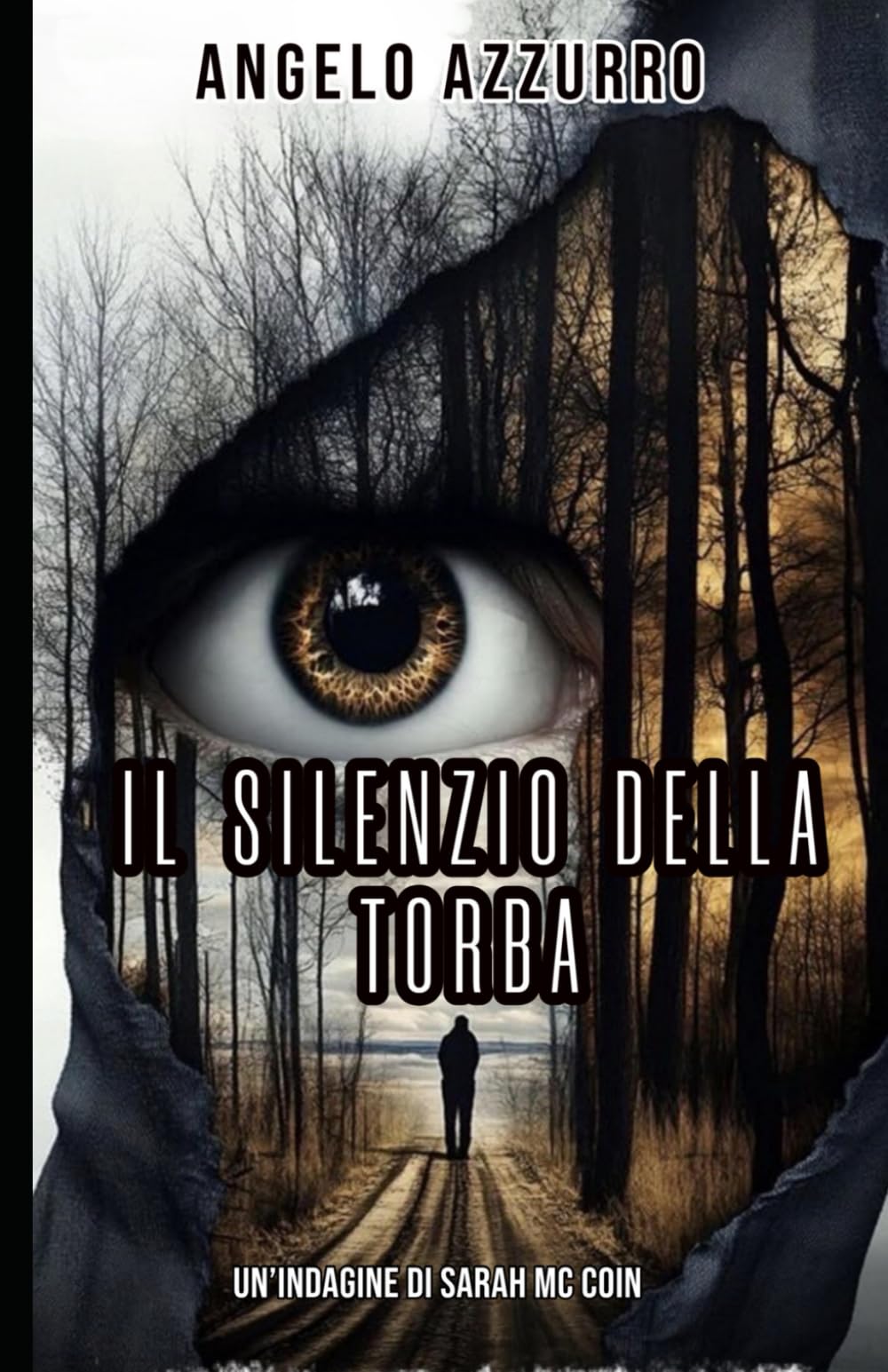 Il silenzio della torba: Un’indagine di Sarah McCoin