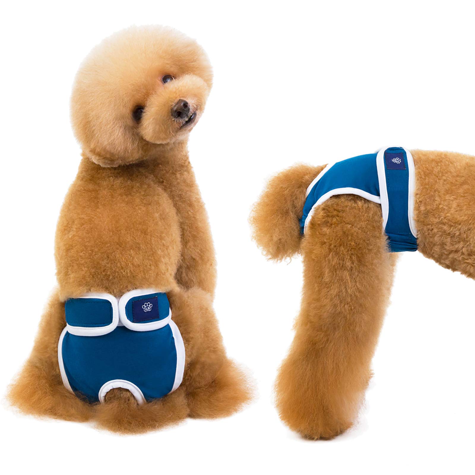 Couche de chien femelle bleu XL : slip respirant pour chiot