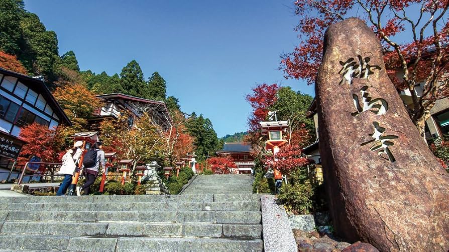 Amazon.co.jp: 叡電 もみじのトンネルへ【4K HDR】 展望列車