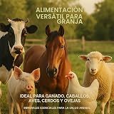 Ver la foto 6