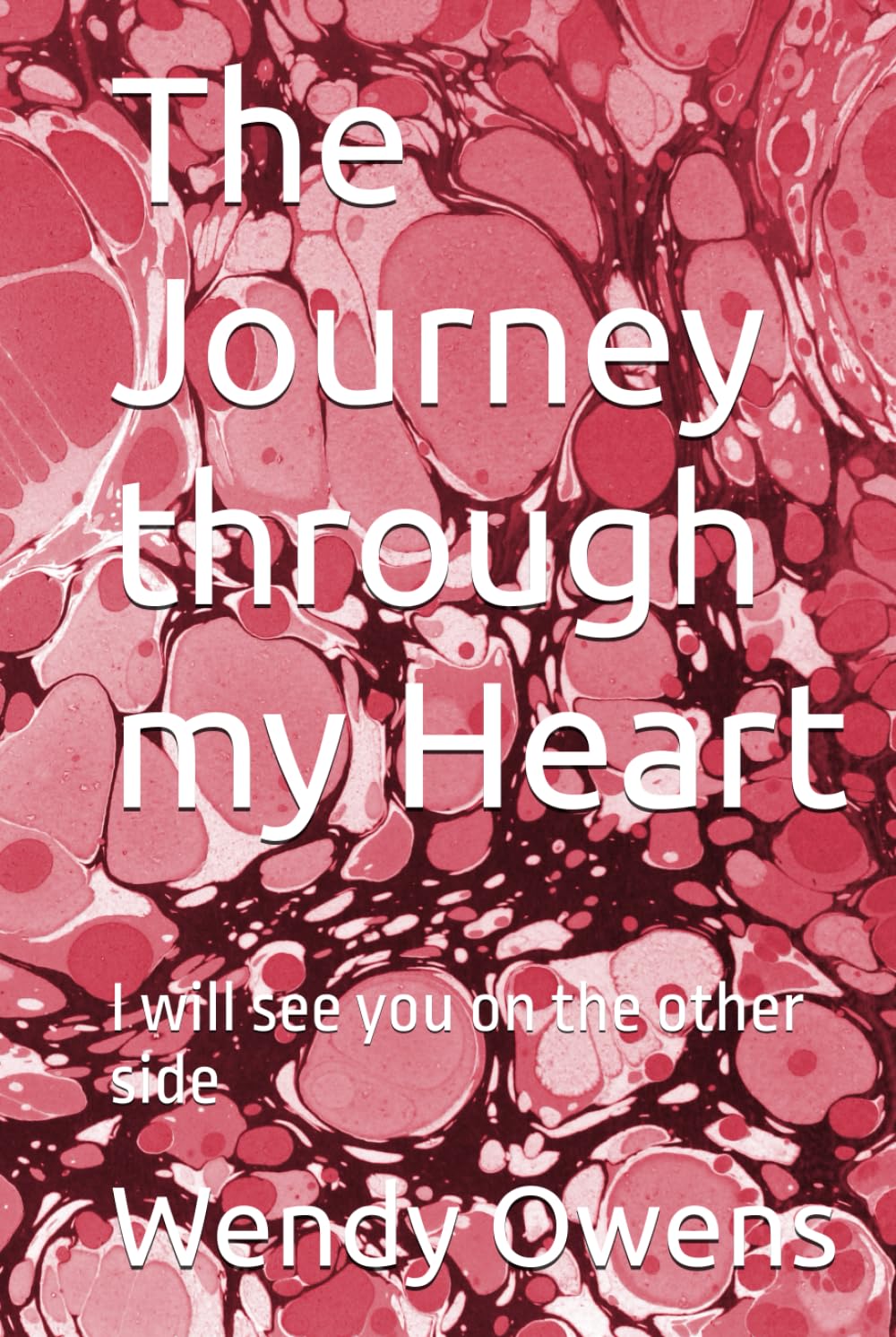 The Journey through my Heart: I will see you on the other side