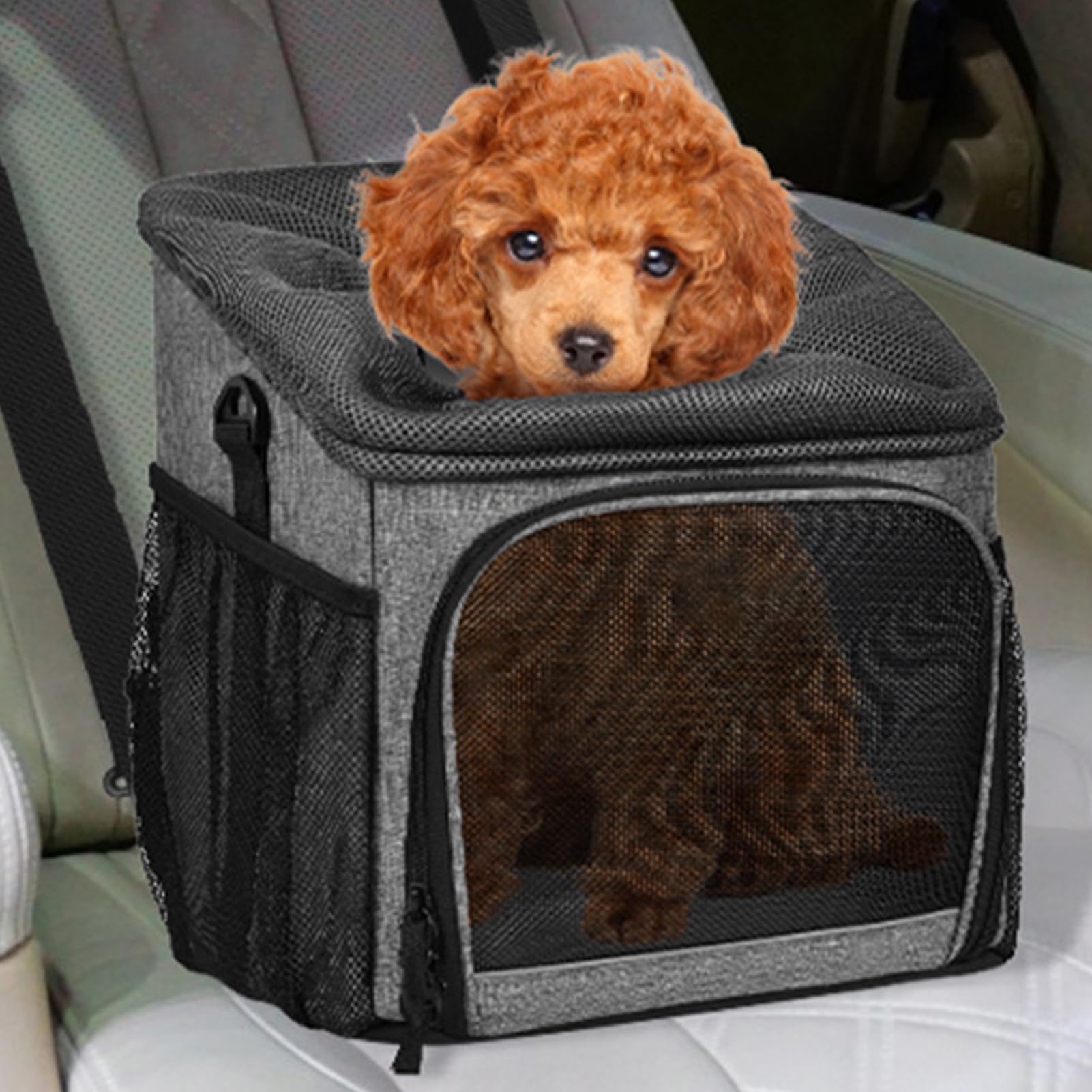 Transportín para Perros En Bicicleta - Transportín Desmontable para Bicicleta, Cesta para Perros para Bicicleta, Bolsa Transporte Ligera Y Transpirable para Playa, Compras, Montaña Y Exteriores