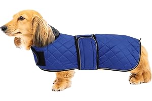 Cozy Canine Winter Essential: Quilted Dog Coat for Corgis