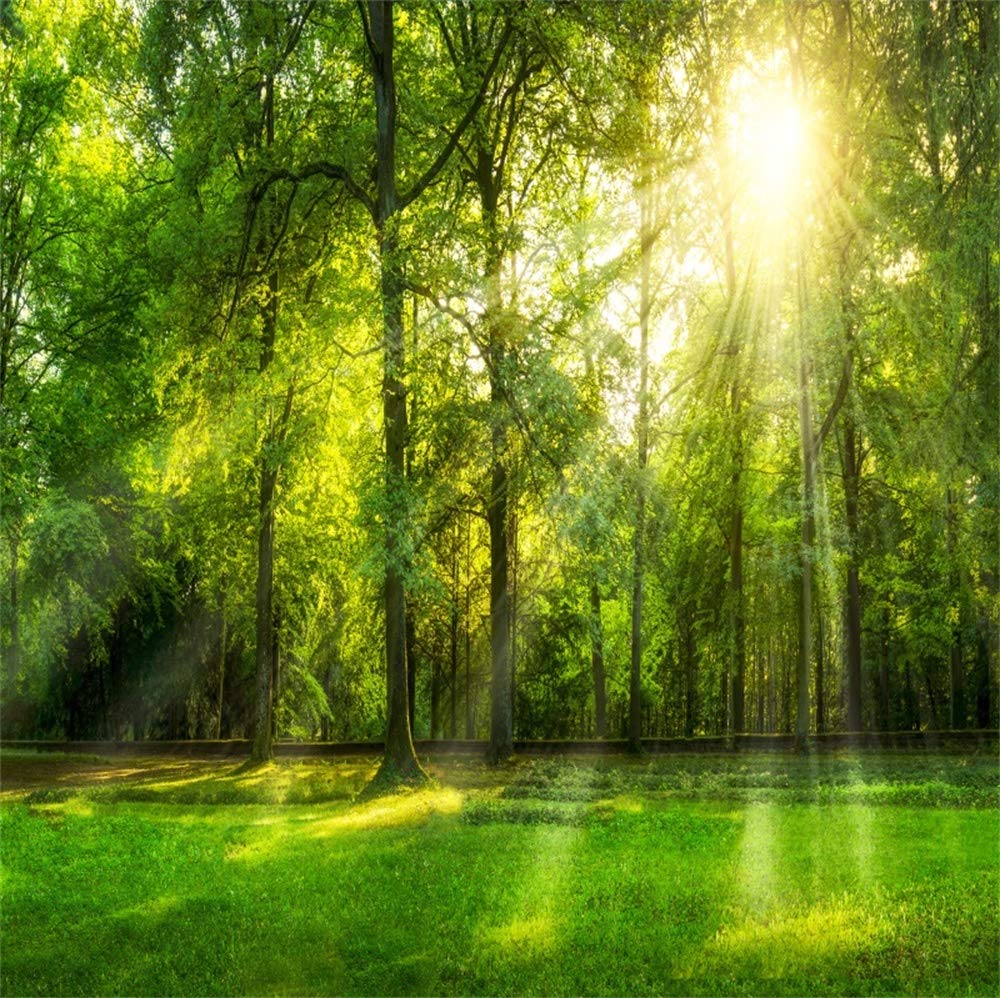 YongFoto 2,2x1,5m Sfondo Fotografico Natale Pino Paesaggio innevato Fiocchi neve Luce sole Natura Inverno Felice anno nuovo Fondale Foto Festa Bambini Boby Nozze Adulto Partito Studio Puntelli