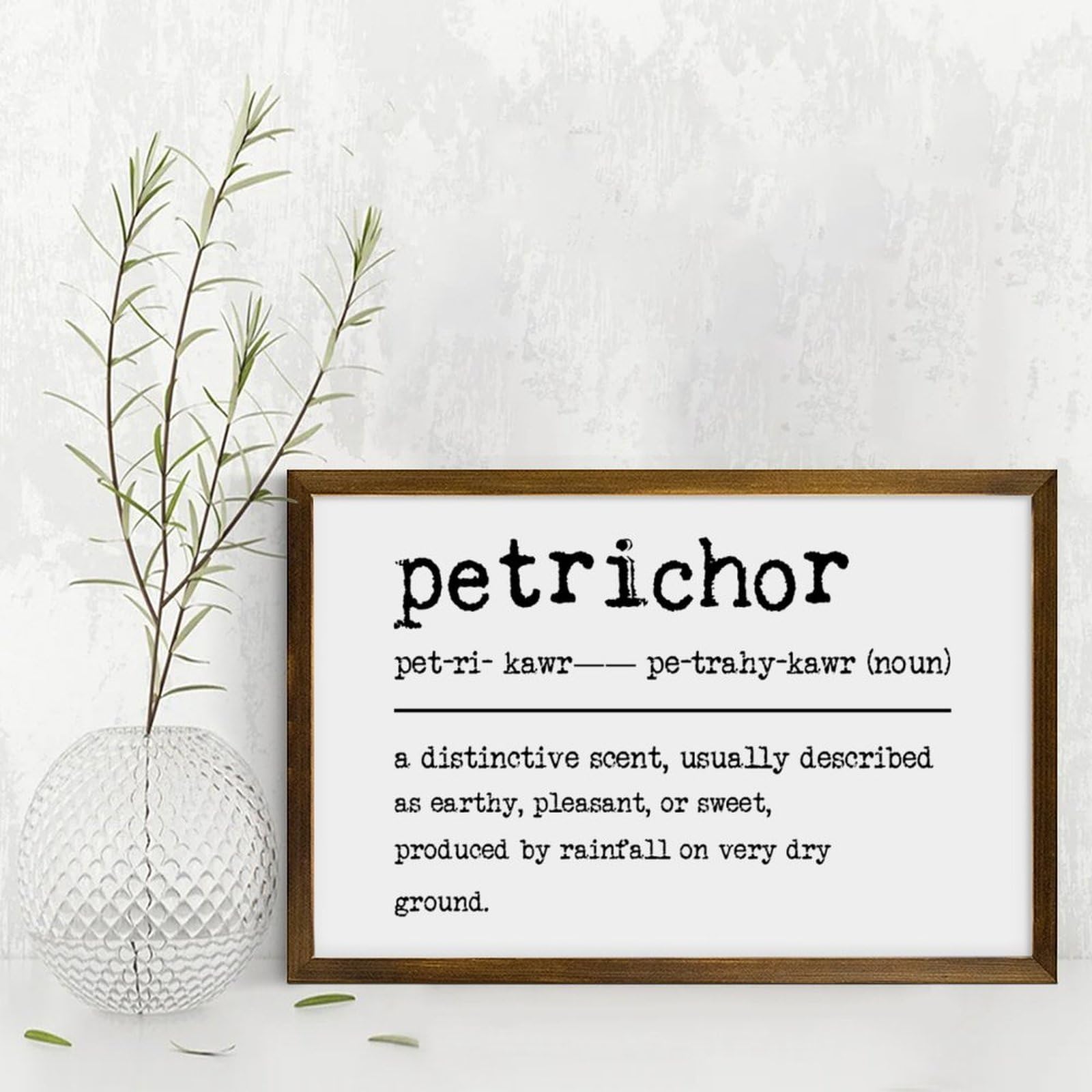 Amazon.com: Petrichor Definition Dictionary Word Meaning Decorative Wooden  Framed Sign 12x8in Farmhouse Wall Art Inspirational Sayings Plaque Modern  Craft Rustic Wall Decor Wood Signs with Frame : Home & Kitchen