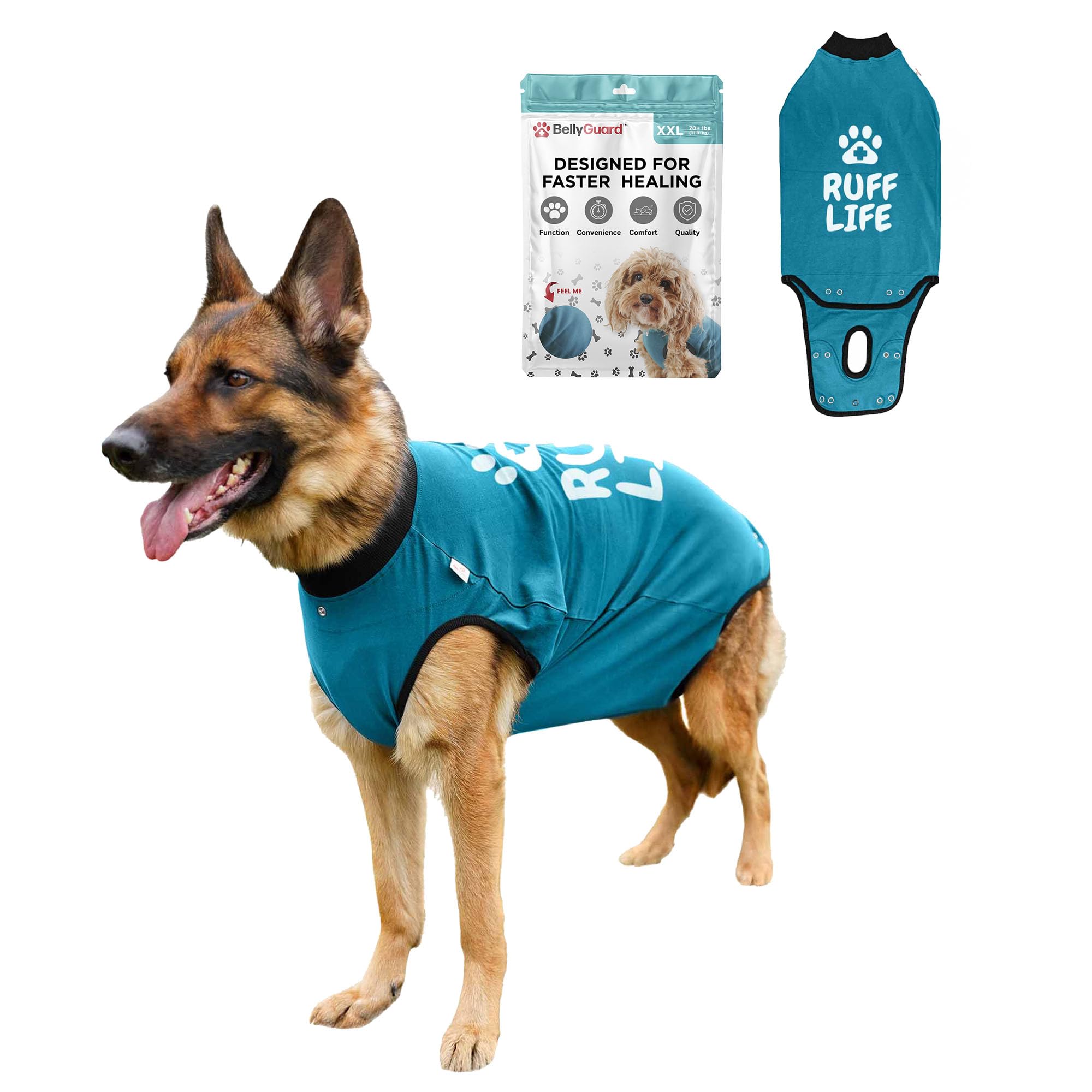 Amazon.com: BellyGuard Dog Surgery Recovery Suit, Dog Onesie for