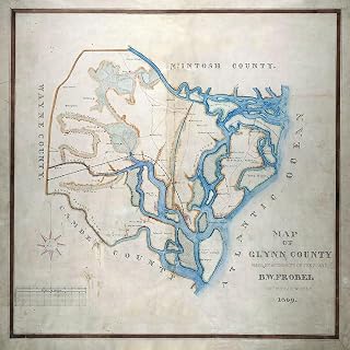 1869 Map of Glynn County Georgia (Material: 20" x 20" Matte)