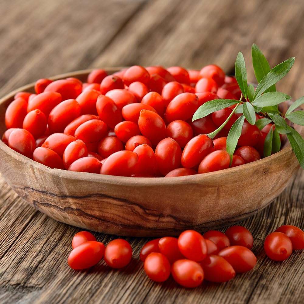 Goji Berry Seeds (Lycium barbarum) – Nutrient-Rich Superfood Shrub – Heavy-Cropping Red Berries – Perennial, Hardy & Easy to Grow Italian Variety