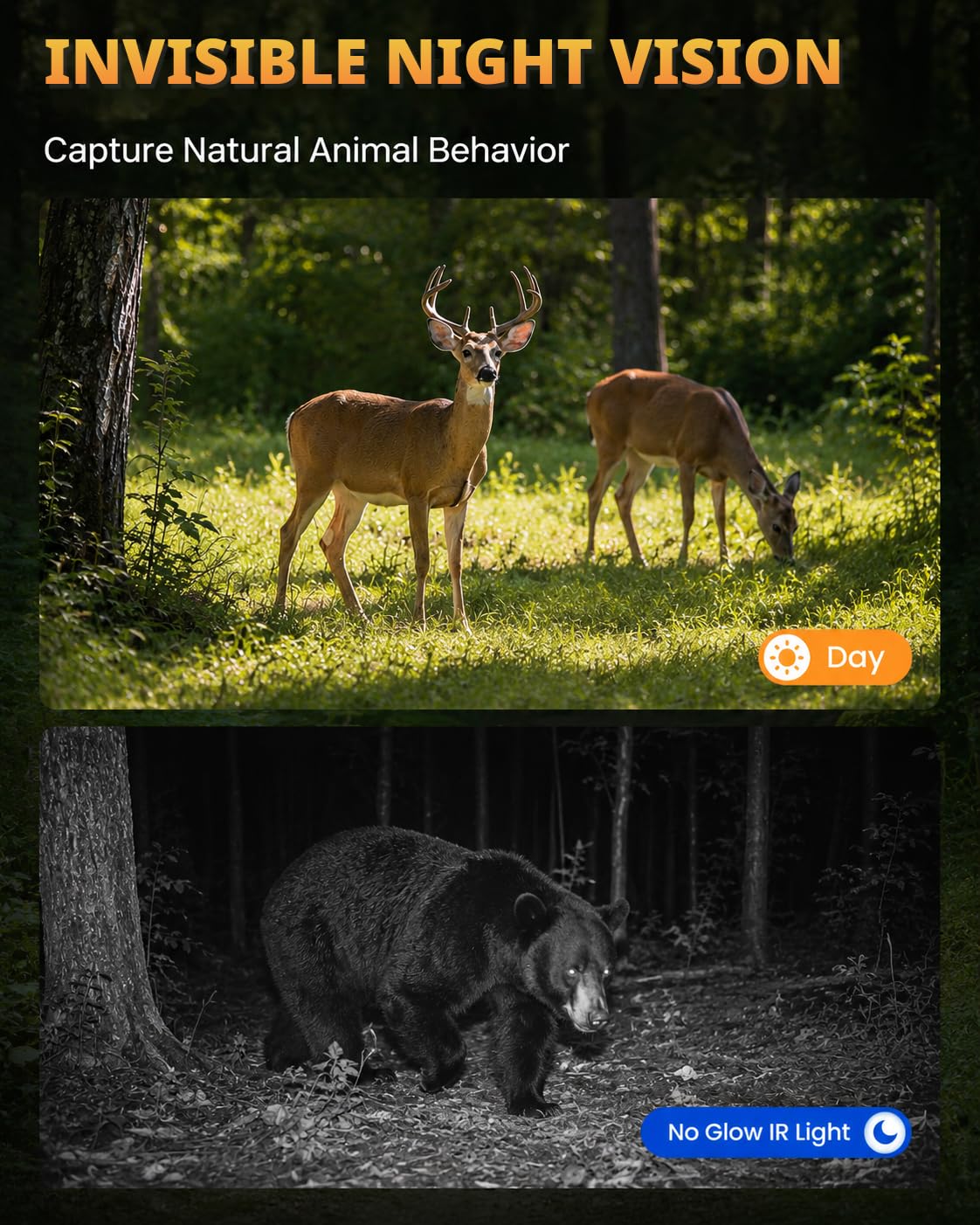 Caméra de chasse solaire HD 2,5 K avec vision nocturne, caméra de jeu cellulaire 4G LTE - Temps de déclenchement 0,2 s activé par le mouvement