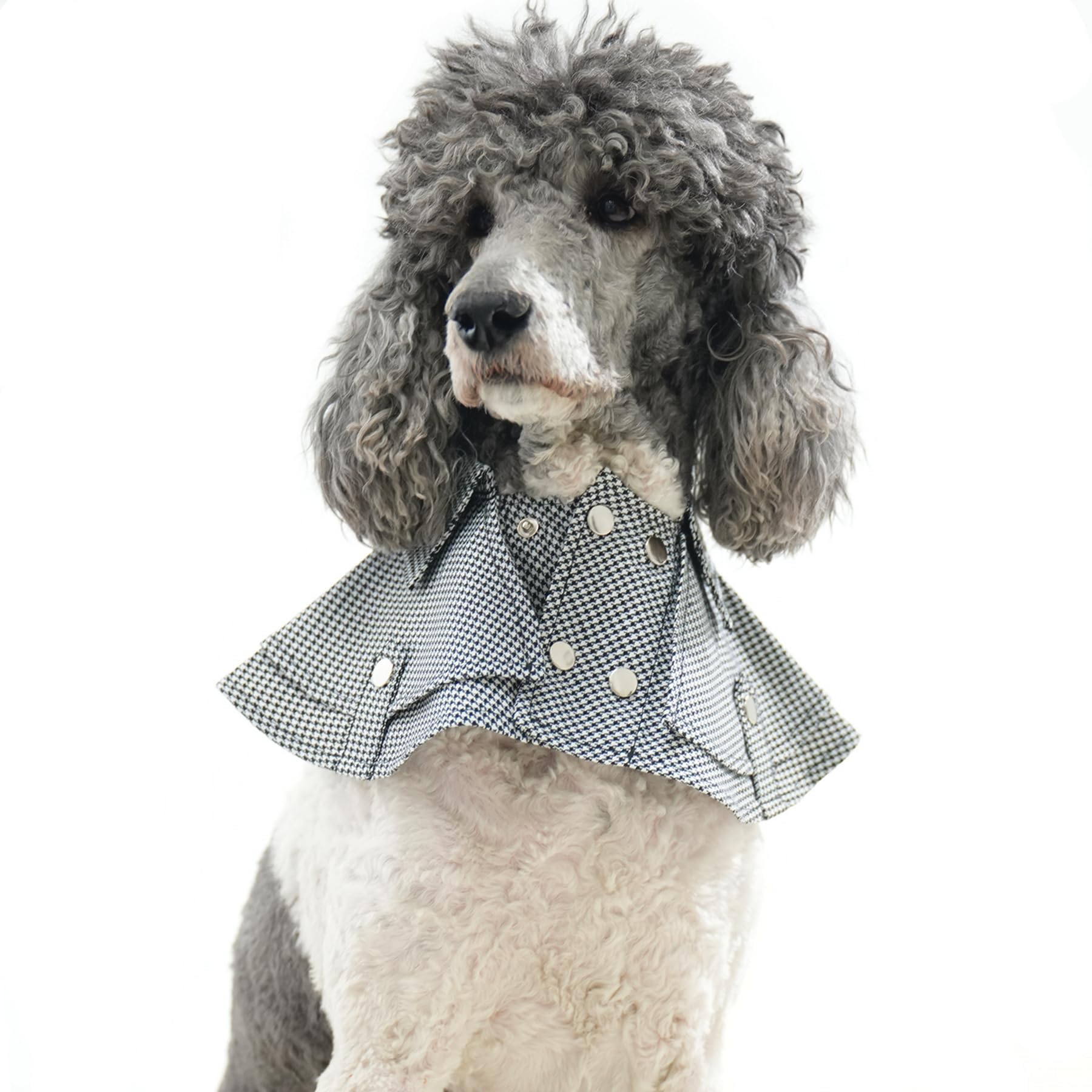 Dog Tuxedo Wedding Suit Shirt with Bow Tie, Formal Outfit Tux Attire for Puppy Small Medium Dogs Cats Costume (White&Black Scarf, Large)