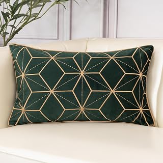 Aeckself Velvet Embroidery Pillow Cover 12x20 Inch, Luxury Modern Decorative Plaid Lumbar Throw Pillow Cover for Couch Bedroom Living Room, Dark Emerald Green and Gold, WHJ-Green3050