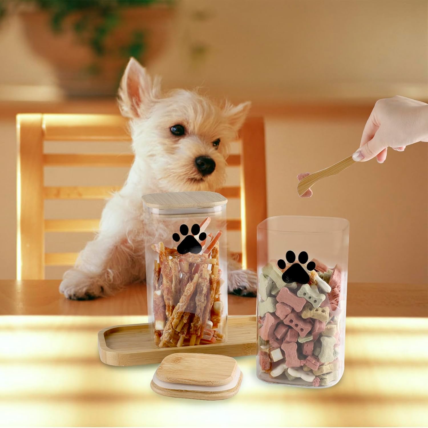37oz Dog Treat Container Set of 2, Glass Dog Treat Jars for Kitchen Counter with Airtight Bamboo Lids, Small Pet Treat Canister,Puppy Food Bin for Kitchen Counter,Freshness Seal-Clear image 3