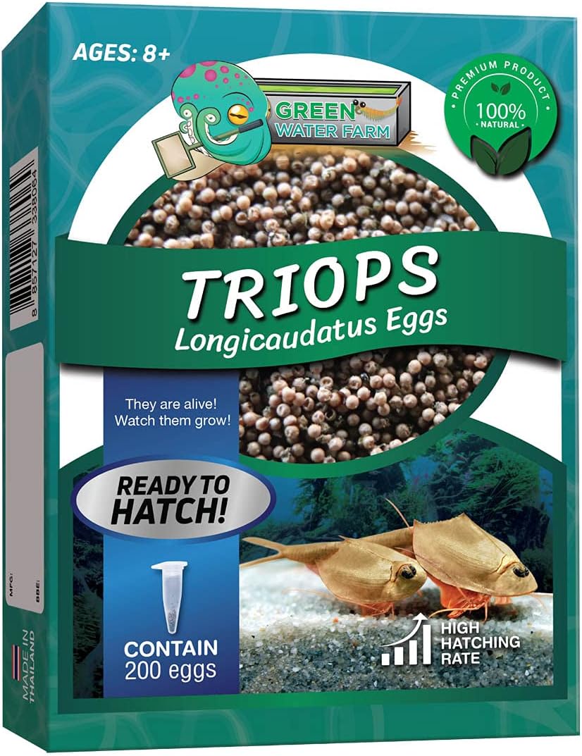 GREEN WATER FARM Triops Longicaudatus Eggs for Hatching and Culture Suitable to be Pet and Science Project (Pure 200 Eggs)