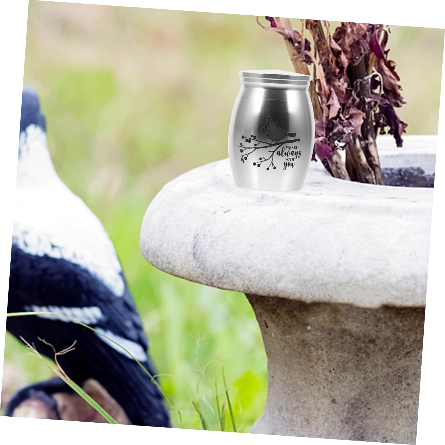 FOMIYES Vogelurne Edelstahl - Blaue Haustierurne Für Vögel & Papageien