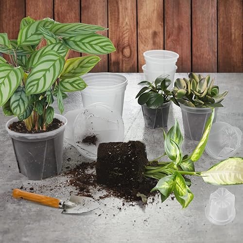 Miniatura 7 de GREENPARA Maceta de plástico transparente verde de 456 pulgadas con orificio de drenaje, contenedores decorativos modernos para plantas con 10