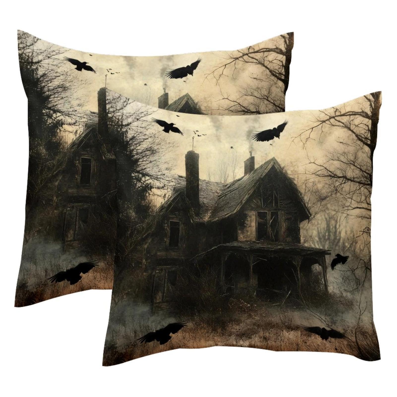 Housse de coussin velours 50x50 Flying Crows cabine