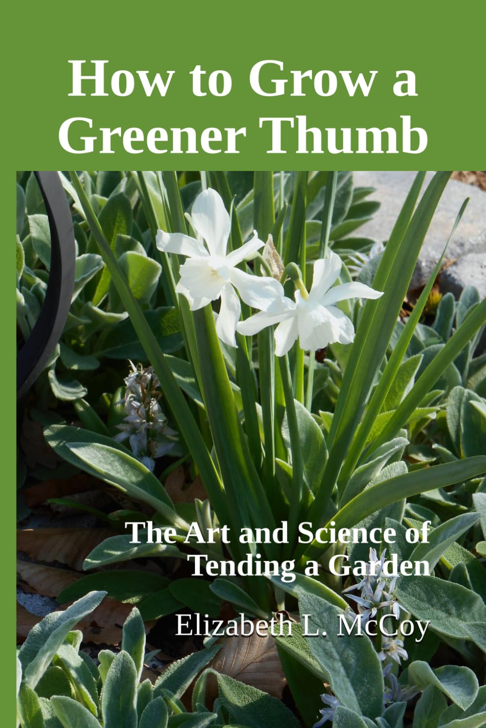 How to Grow a Greener Thumb: The Art and Science of Tending a Garden      Paperback – February 8, 2026