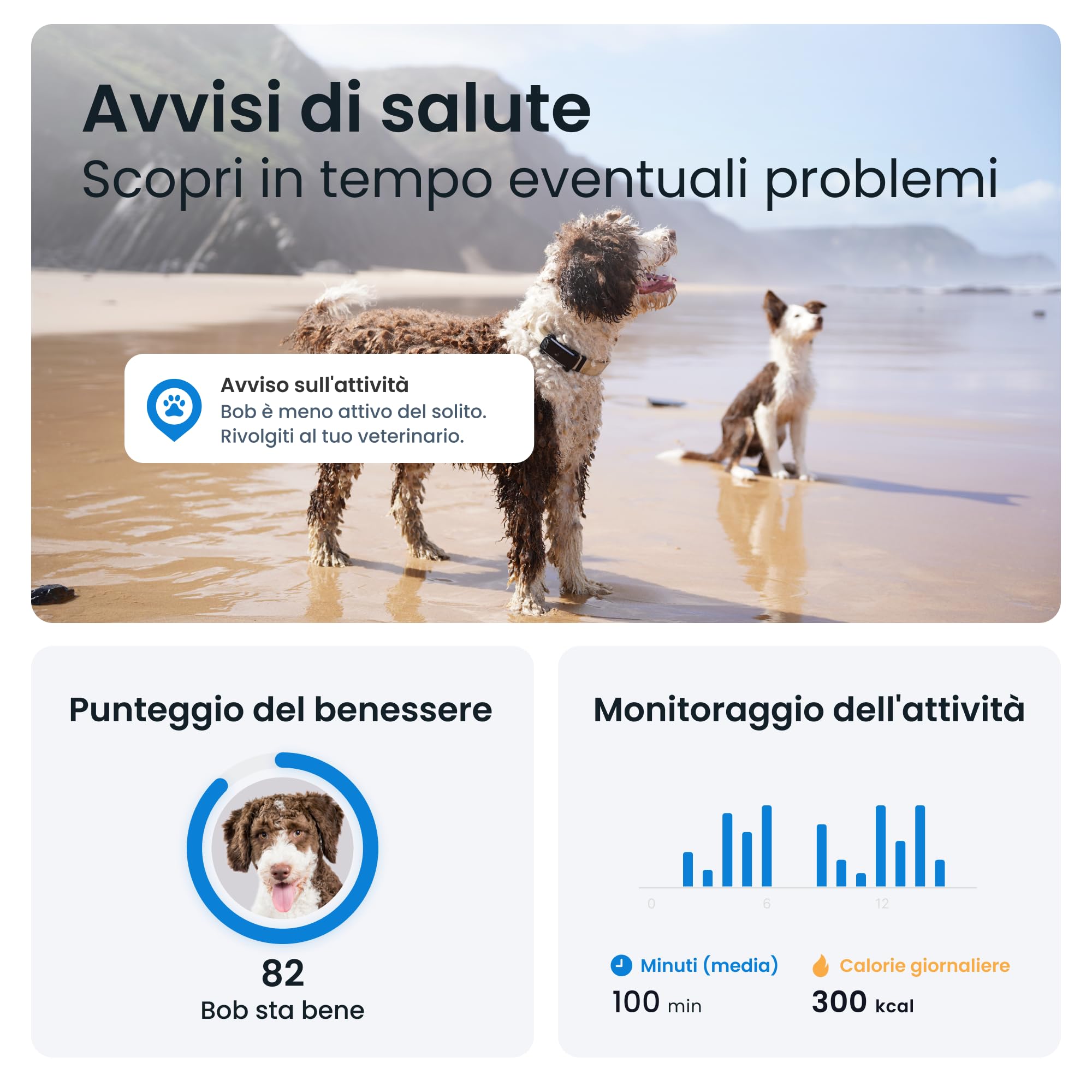 Tractive – Obroża GPS dla psa, zestaw z etui w kolorze oliwkowym | Edycja 2025 | Lokalizacja GPS na żywo | Alerty przeciwbieżne i zdrowotne | Monitorowanie wskaźników życiowych | Lider rynku (Czarny)