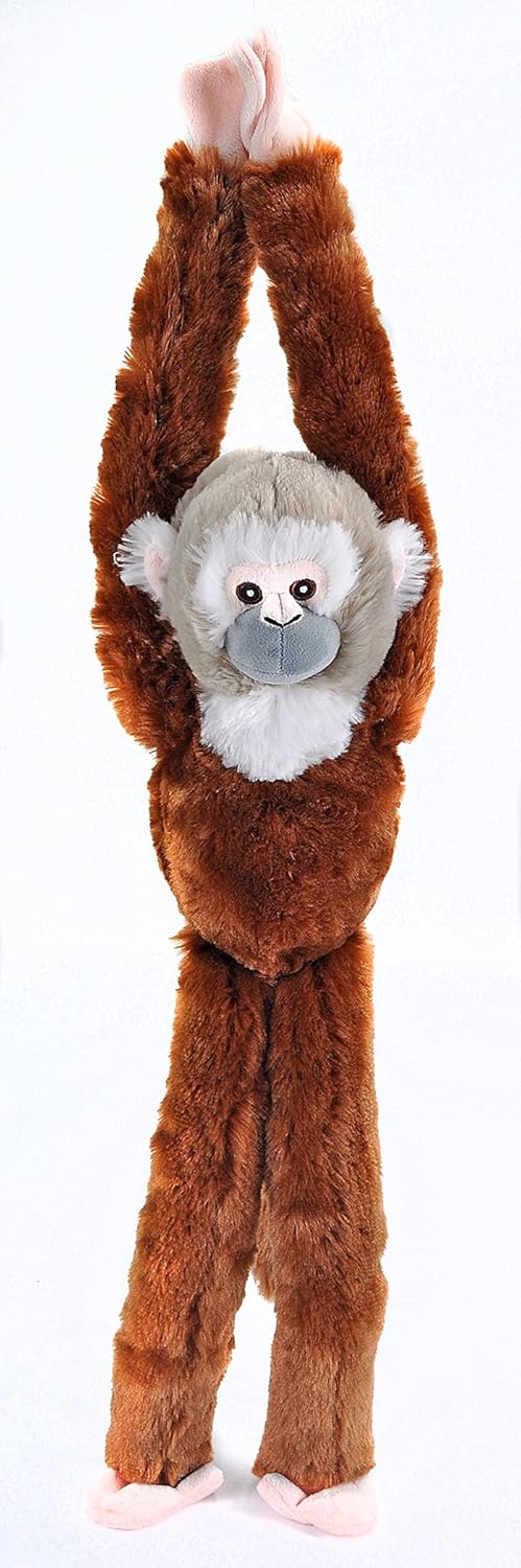 Scimmia scoiattolo immottito ecologico appeso per la Italia Ubuy