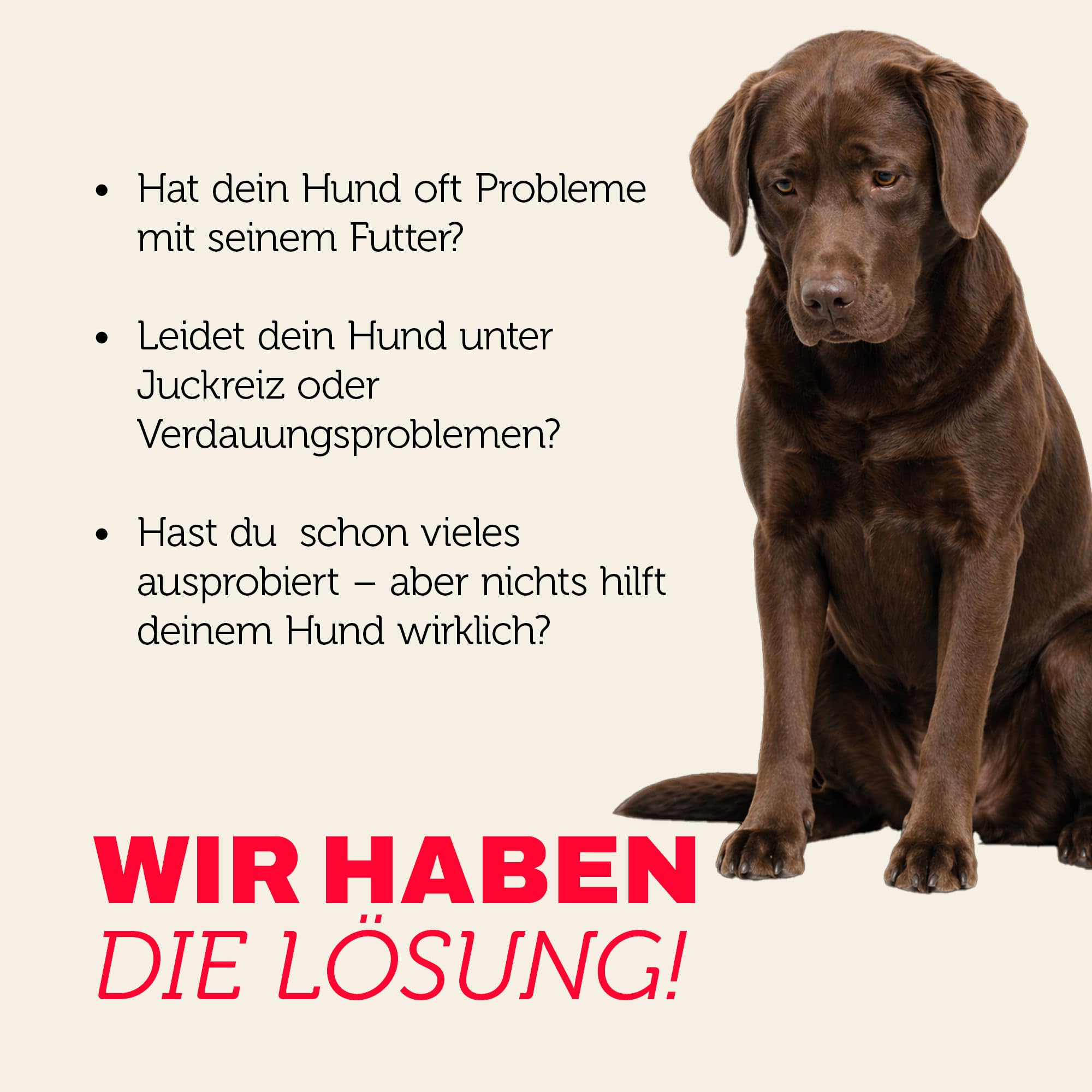 mera Pure Sensitive Insect Protein Hundefutter Trockenfutter, mit Insektenprotein für Sensible Hunde, leicht verdaulich & nachhaltige Proteinquelle, getreidefrei (12,5kg)
