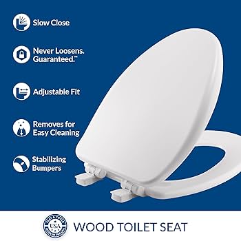 osamisix 静床20AB Mayfair Alesio II Slow Close Toilet Seat, Easy Clean Hinges