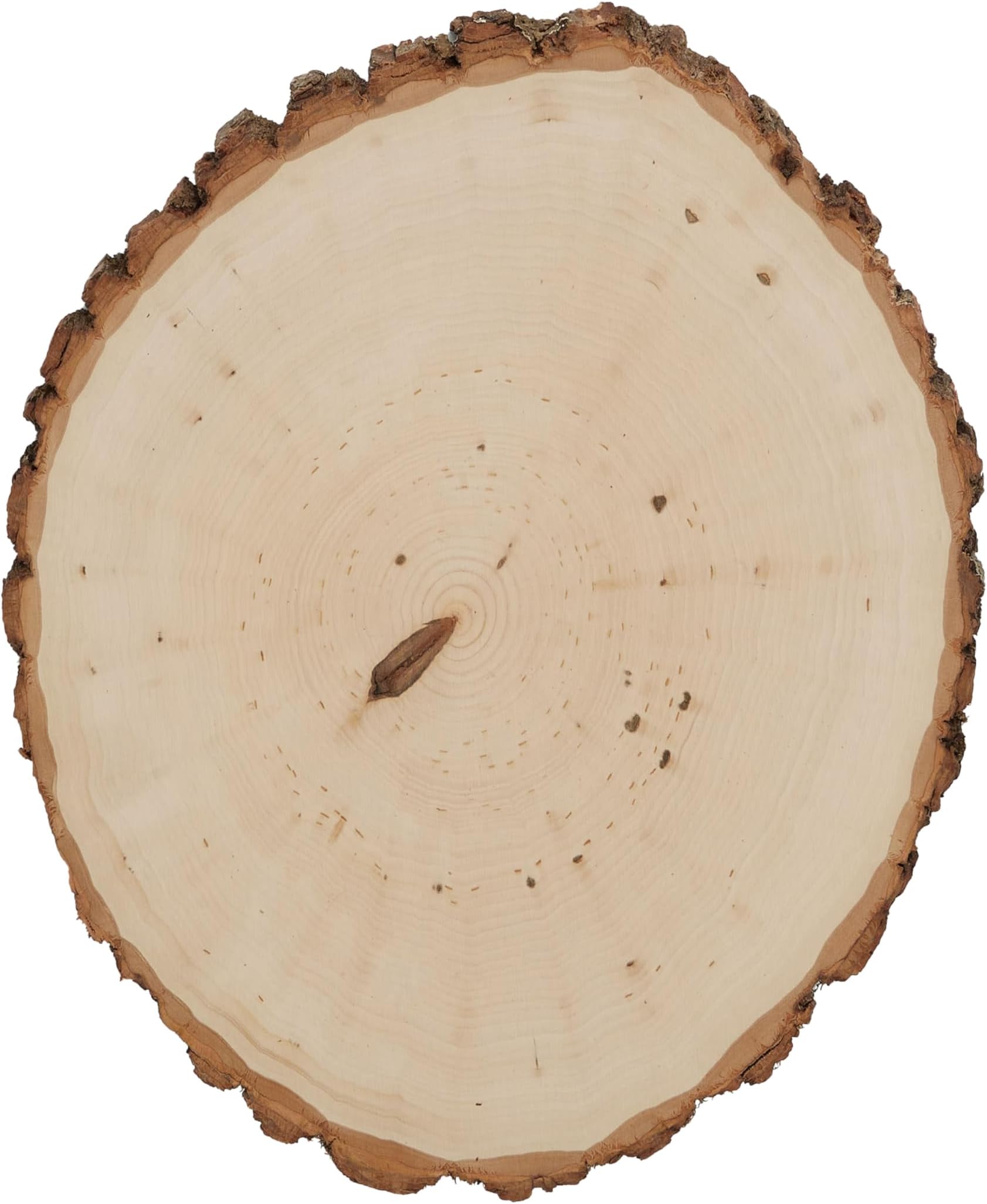 Walnut Hollow Basswood Country Round, Extra Large for Woodburning, Home Décor and Rustic Weddings