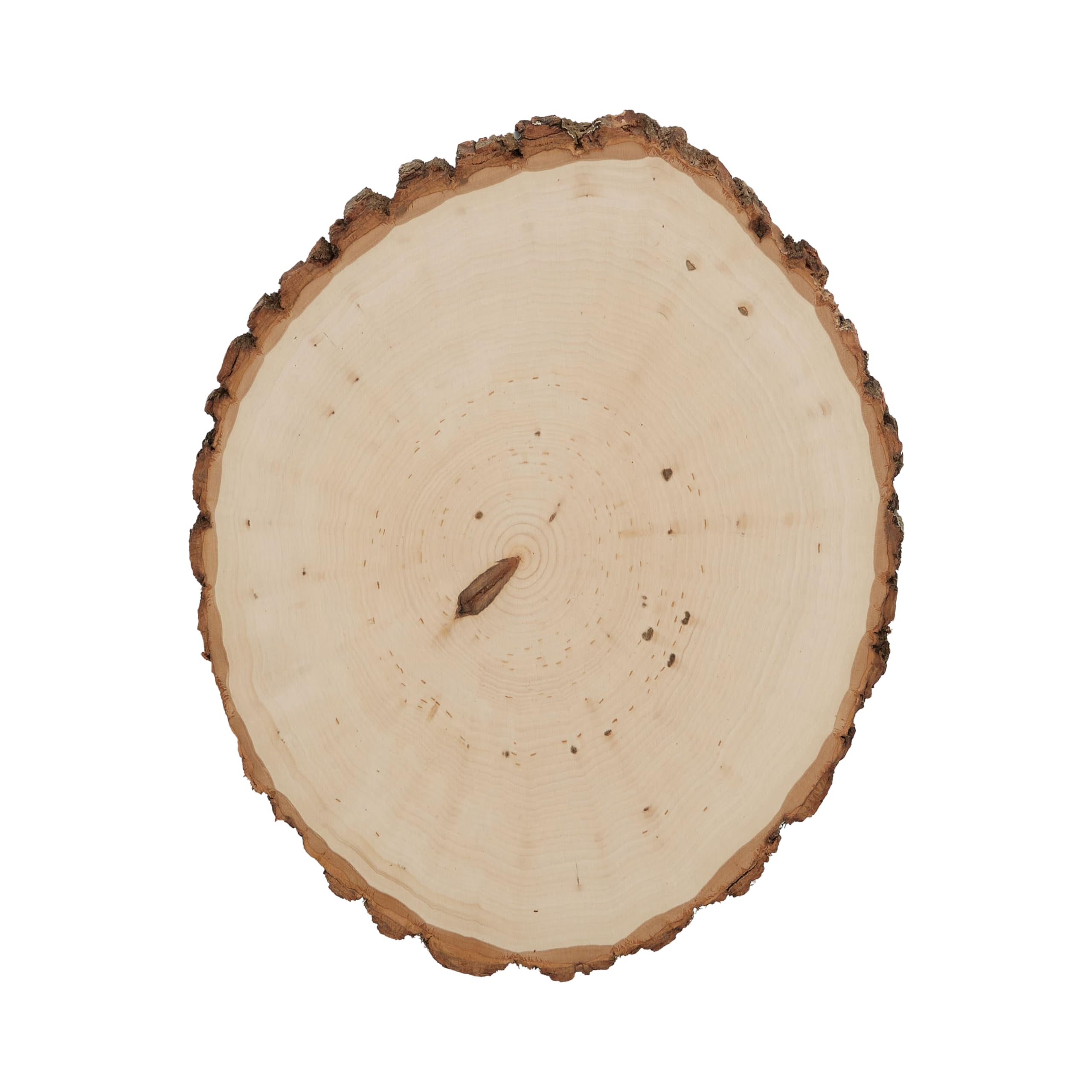 Walnut Hollow Basswood Country Round, Extra Large for Woodburning, Home Décor and Rustic Weddings