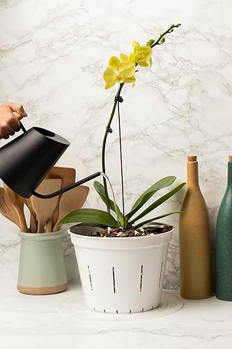 rePotme Macetas transparentes ranuradas de 10 pulgadas, paquete de 3 (color blanco nube)