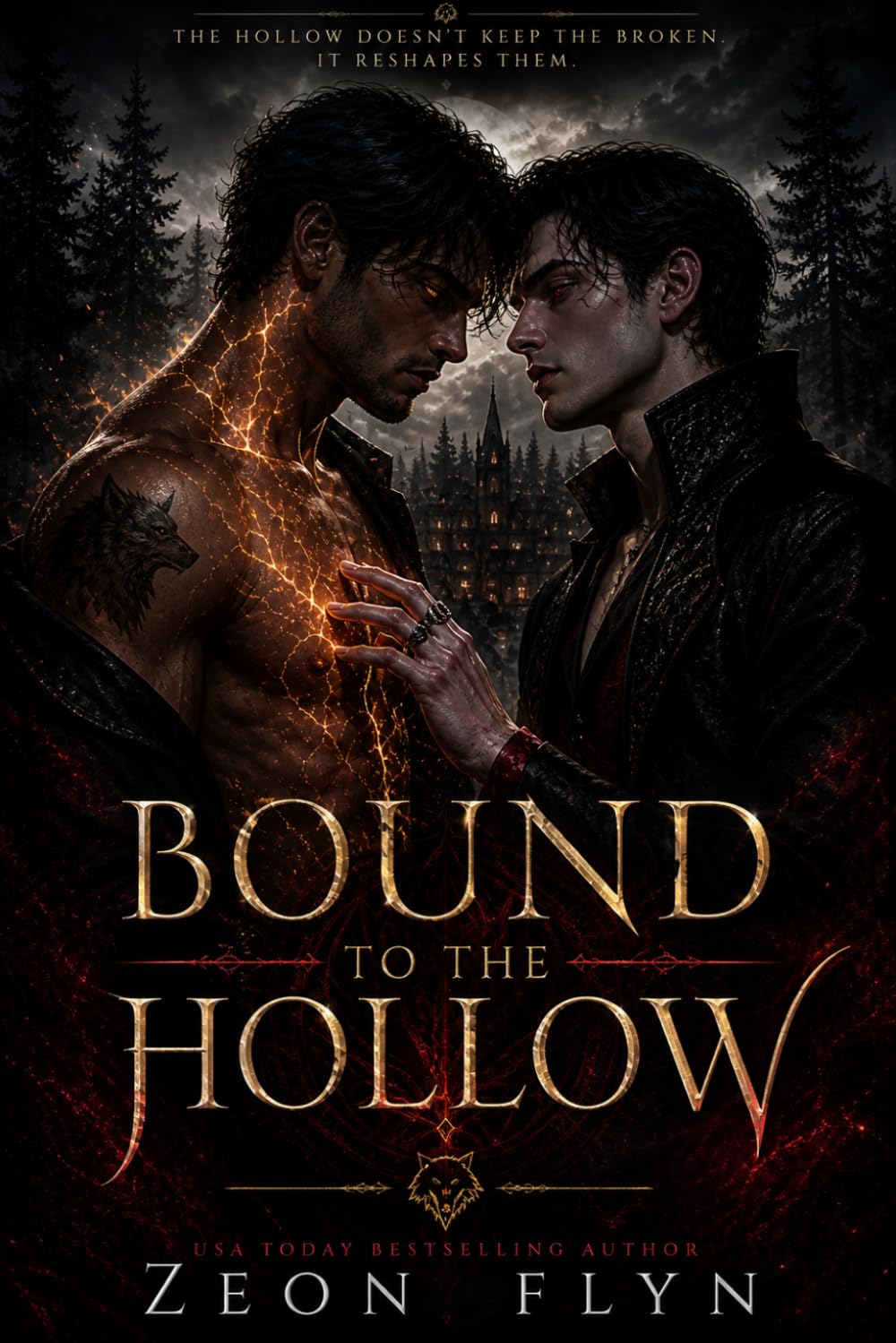Bound To The Hollow (The Hollow saga’s)