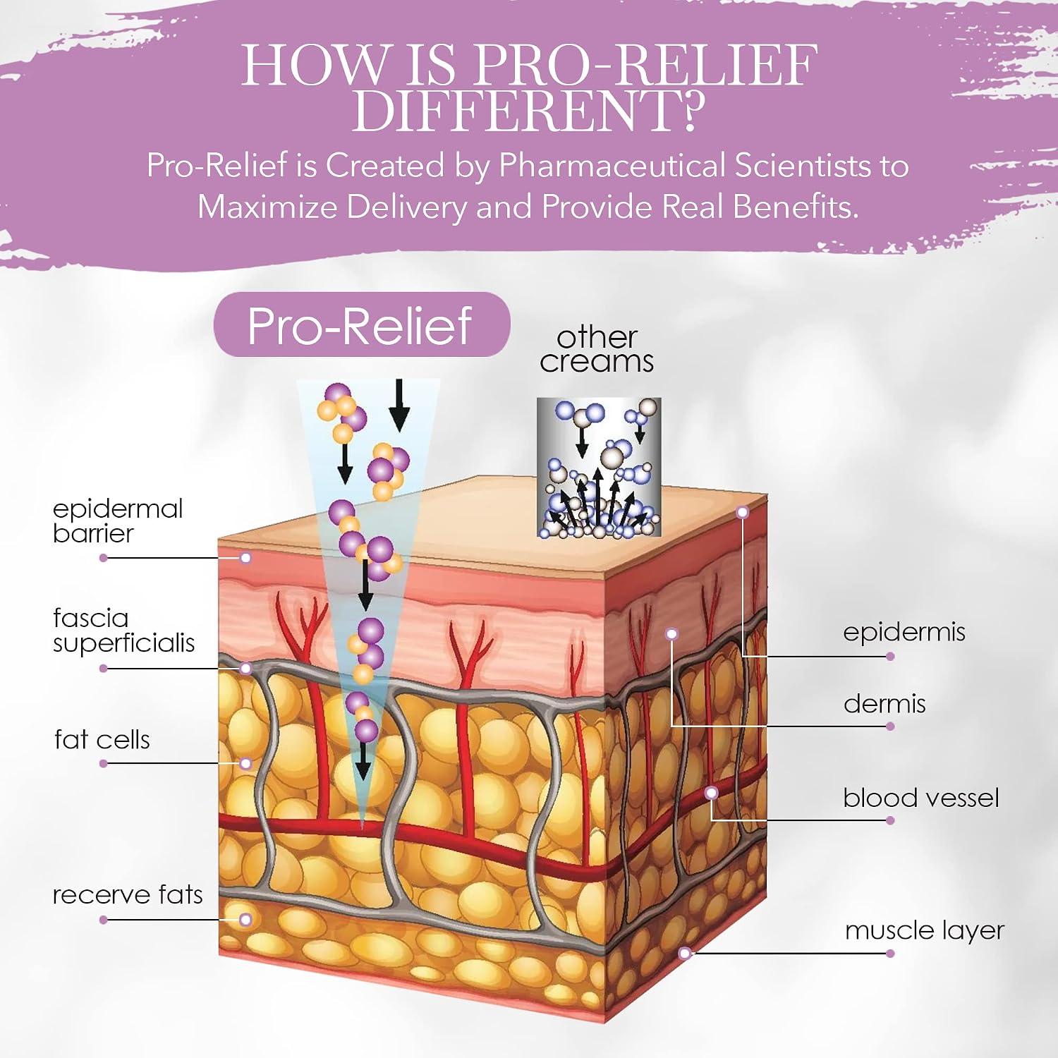 Imagine Dermatology Bio-Identical Progesterone 2000mg, 100 Pump Doses, Micronized USP from Wild Yam Pro-Relief Cream, Paraben-Free, Soy Free, for Female Mid-Life Balance, TSA Compliant Size, USA Made