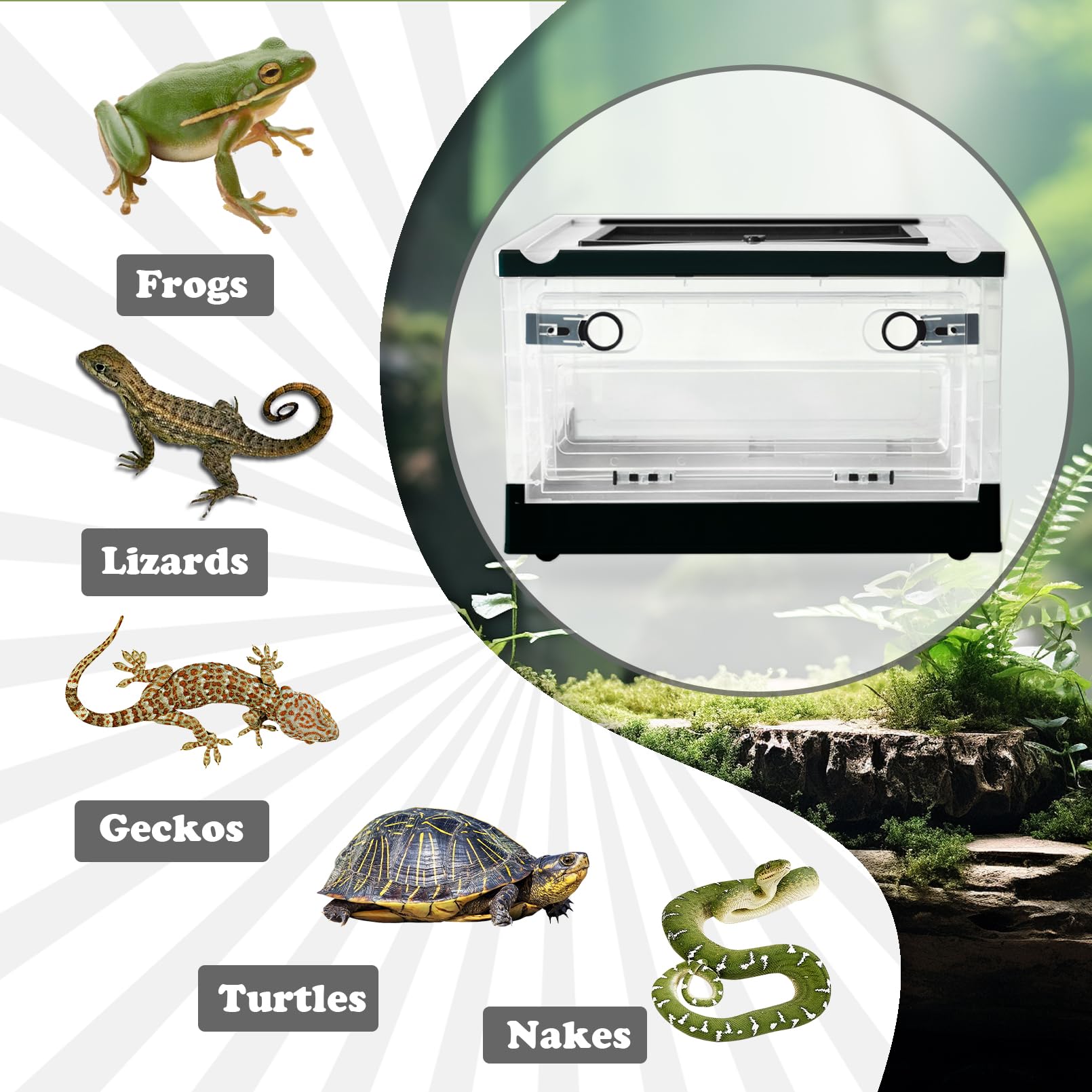 PINVNBY Caja de alimentación de reptiles de plástico con ruedas, jaula de cría de reptiles, anfibios transparentes, tanque de terrario de hábitat, contenedor de transporte portátil para lagarto,