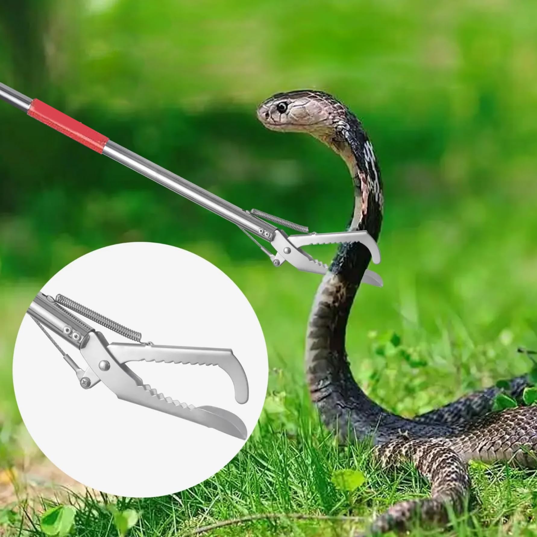 Collapsible Stainless Steel Snake Tongs For Safe Capture Likorlove 50 collapsible-stainless-steel-snake-tongs-for-safe-capture-likorlove-50