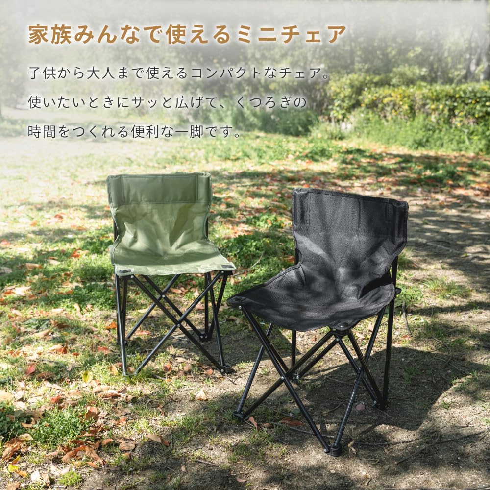Amazon.co.jp: 武田コーポレーション アウトドア レジャーチェア