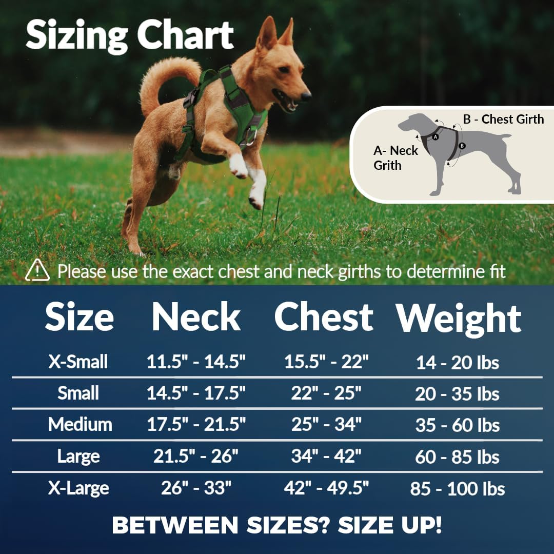 No Pull Dog Harness - Durable Polyester Puppy Harness with Front Anti-Pull Loop, Reflective Strips, and Quick-Release Clips for Small, Medium, and Large Dogs (Forest Green, Medium)