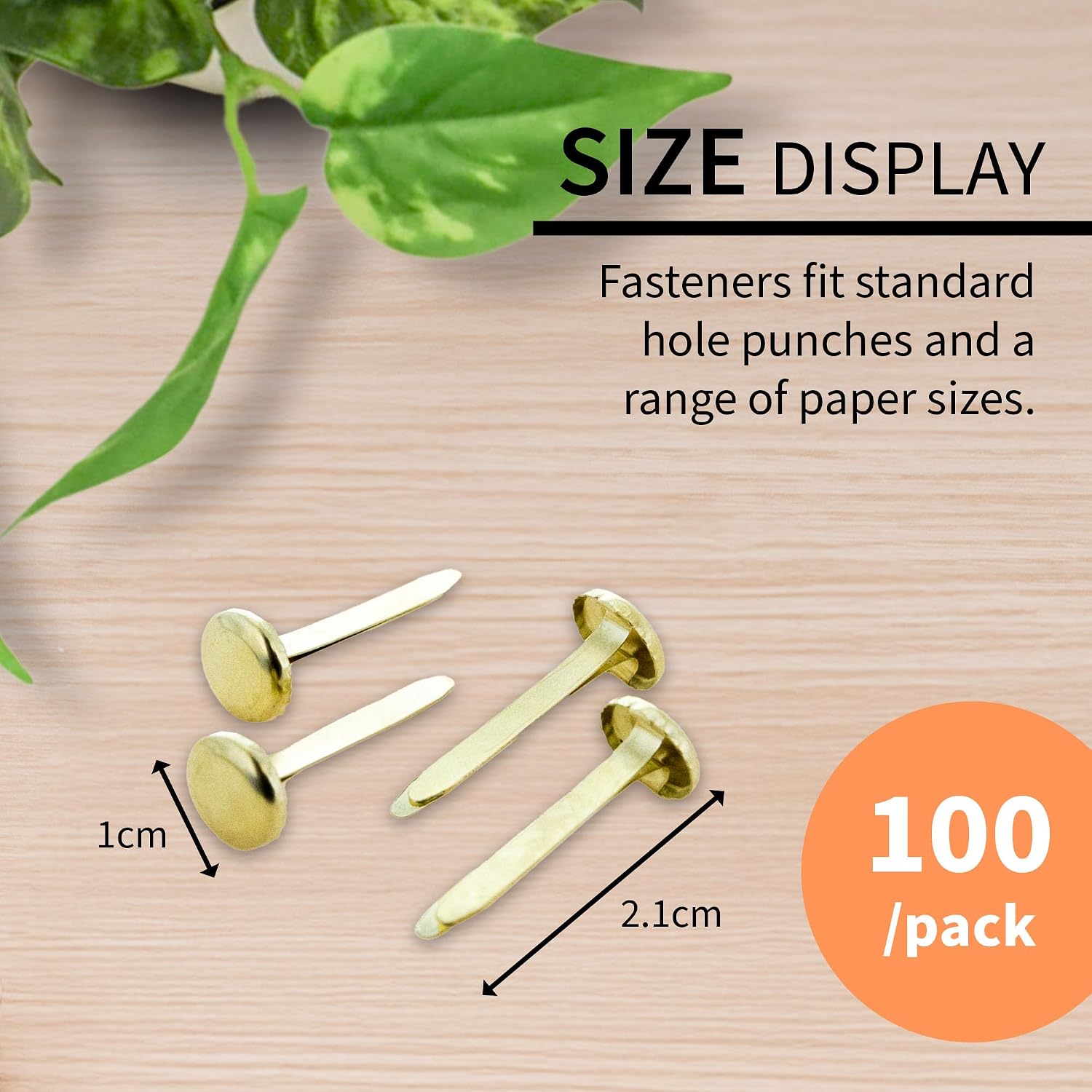 BAZIC Products Brass Plated Fasteners 1 Inch, Round Head Paper Fastener Brads for Office School Organization Scrapbooking Art and Crafts (100/Pack), 144-Pack
