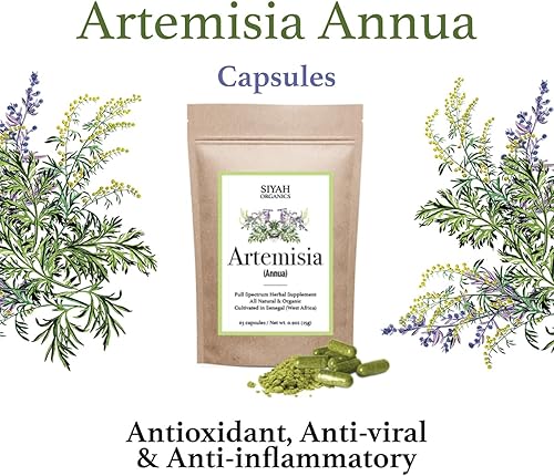 Miniatura 2 de Organics Artemisia Annua Cápsulas de ajenjo dulce  Antioxidante, cápsulas herbales  Todo natural, orgánico y vegano  Suplemento herbario de espectro