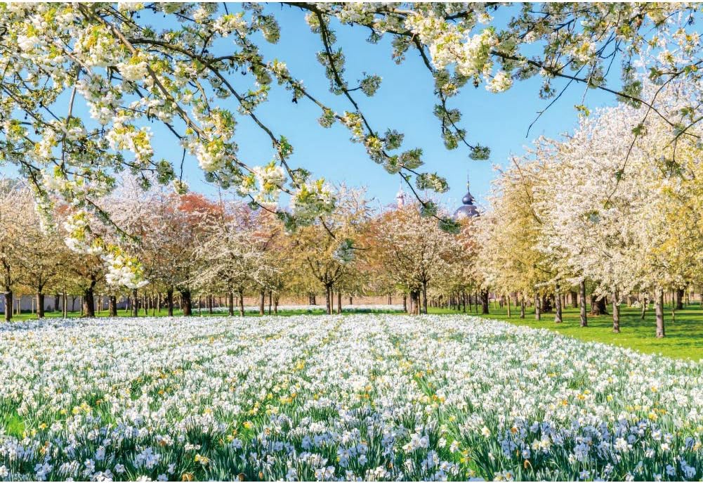 Yeele 10x6.5ft Spring Flowers Scenery Backdrop Garden Park Floral Field Meadow Flowers Trees Blossom Background for Photography Wedding Kids Newborn Baby Shower Photo Studio Props